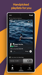 Spotify Premium Mod APK (Ad-Free + Unlimited Skips) 3