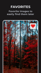 Fast Photo Gallery Pro F-Stop Premium APK Download – Smart, Fast & Beautiful Photo Management 3